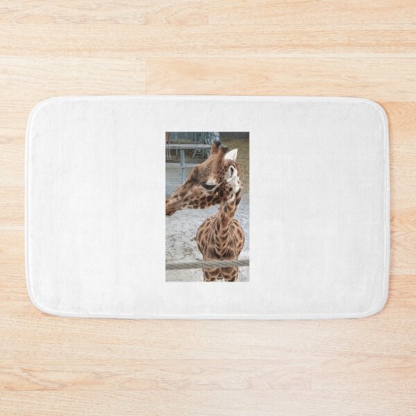 Item preview, Up close with a Giraffe - Blackpool Zoo  Giraffe designed and sold by Scottish Photography .
