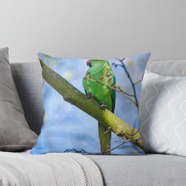 Item preview, Ring necked parakeet perched in a tree (Psittacula krameri) designed and sold by PawsomePrints.