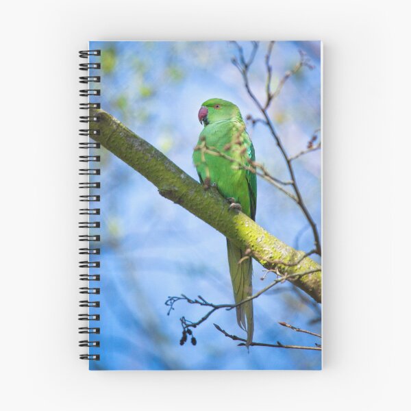 Item preview, Ring necked parakeet perched in a tree (Psittacula krameri) designed and sold by PawsomePrints.
