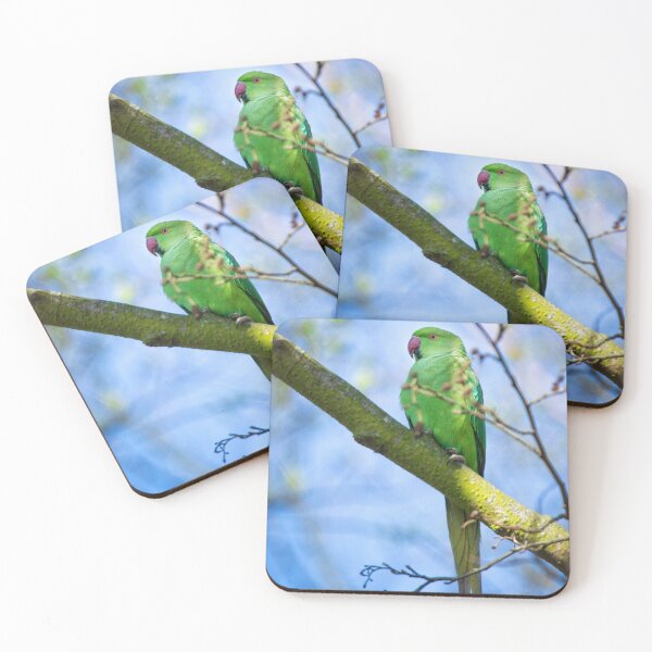 Item preview, Ring necked parakeet perched in a tree (Psittacula krameri) designed and sold by PawsomePrints.