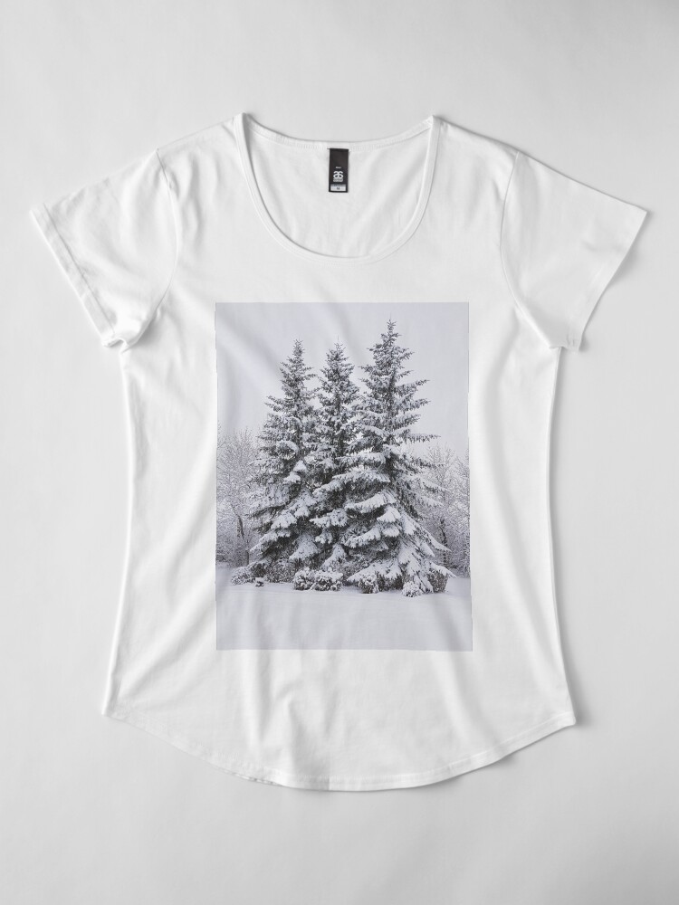 Alternate view of Snow Day Premium Scoop T-Shirt