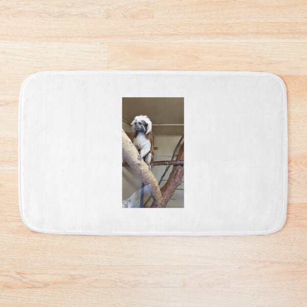 Item preview, Monkey business  Primates Cotton-top tamarin Blackpool Zoo designed and sold by Scottish Photography .