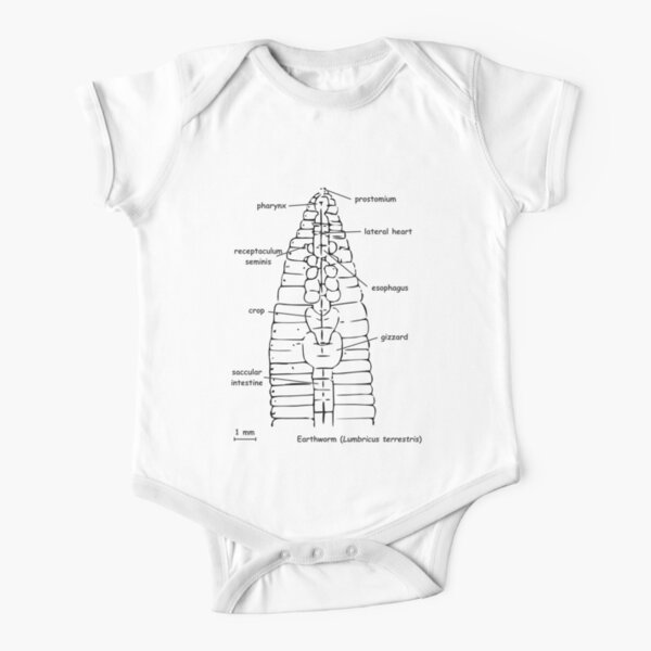 Grey's anatomy best sale baby onesie