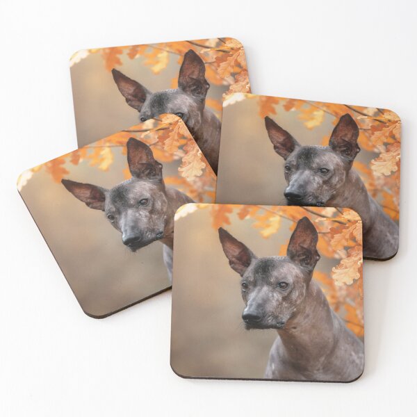 Item preview, Xoloitzcuintle And autumn leaves designed and sold by Xolo-Rescue.