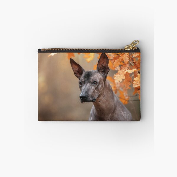 Item preview, Xoloitzcuintle And autumn leaves designed and sold by Xolo-Rescue.