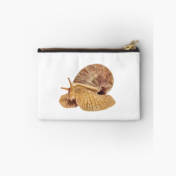 Item preview, Achatina snail taken closeup isolated on white. designed and sold by IaroslavB.