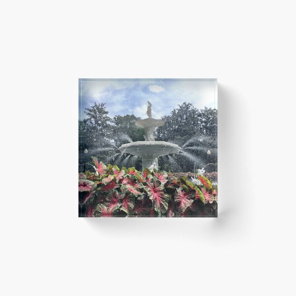Item preview, Forsyth Park, Savannah, Ga. designed and sold by BrianVaughn423.