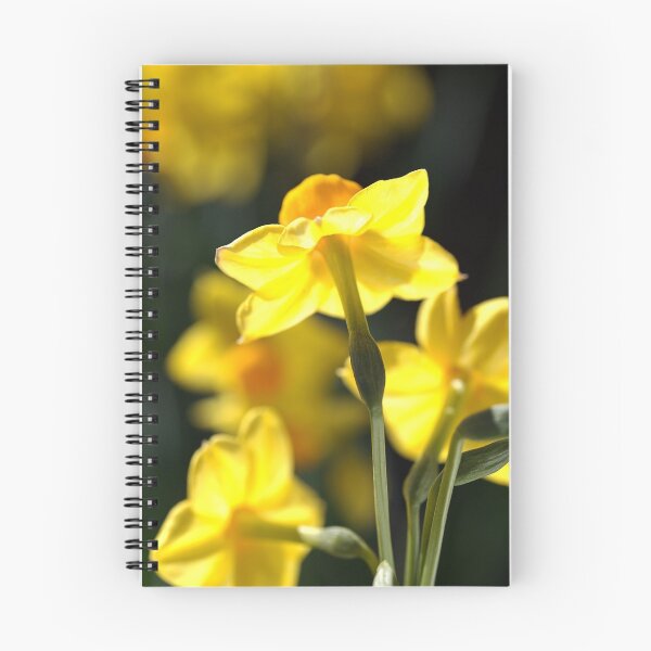 Item preview, Glowing Lights - Jonquils designed and sold by Joy Watson - Natural Light Photography .