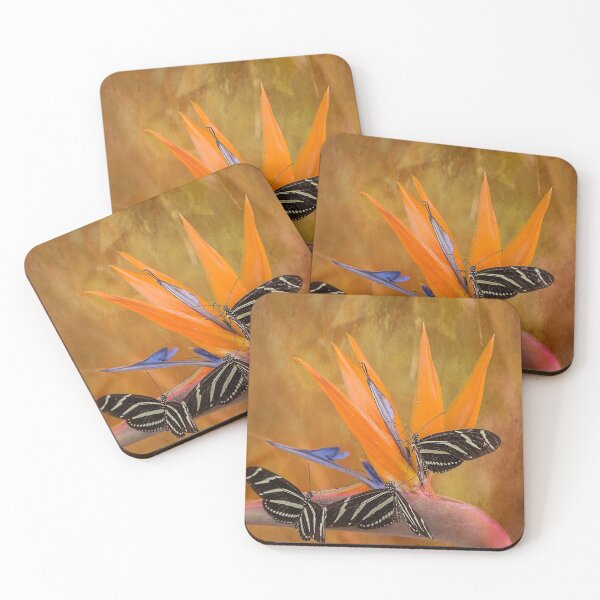 Item preview, Three Zebra Butterflies designed and sold by Elisabeth Lucas.