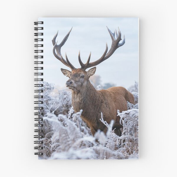 Item preview, Winter Stag designed and sold by Junkyardmax.