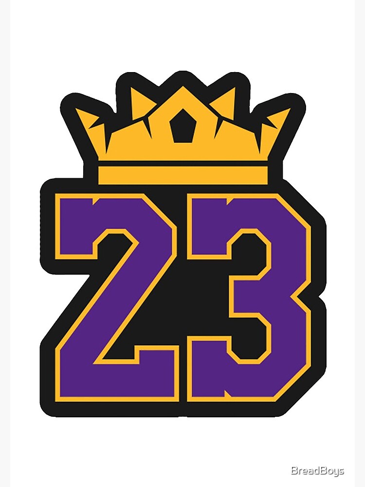 Lebron james 2025 23 logo