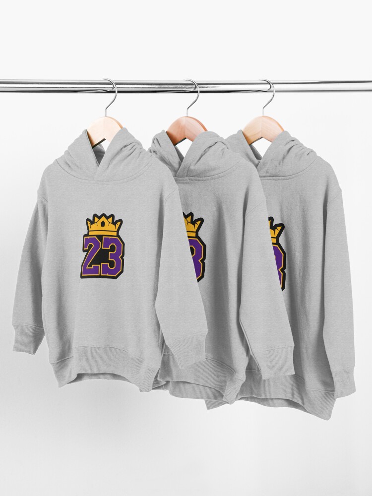 Toddler deals lakers hoodie