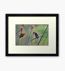 Colours......... Framed Print