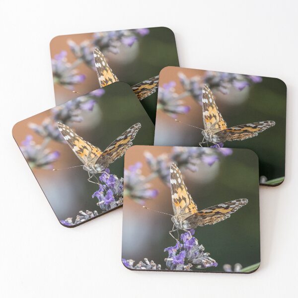 Item preview, Painted Lady designed and sold by Adrian Rowley.