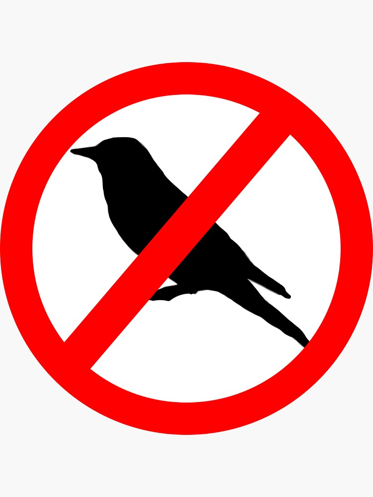 "No Birds Allowed" Sticker for Sale by smheryl Redbubble