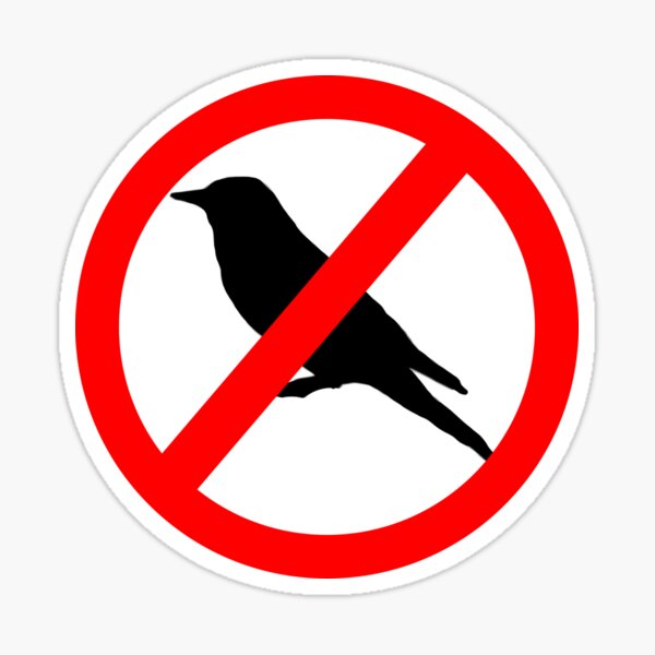 "No Birds Allowed" Sticker for Sale by smheryl Redbubble