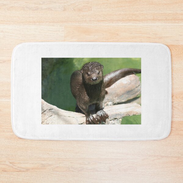 Item preview, "Do you have to go so soon" designed and sold by RichImage.