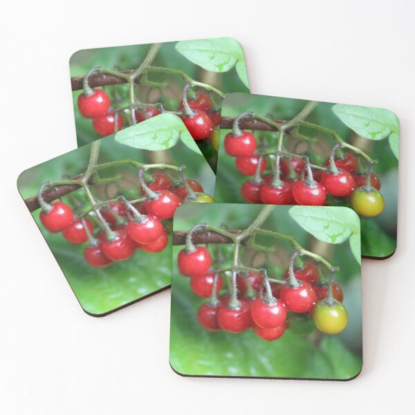 Item preview, Bittersweet nightshade berries designed and sold by pinkal.