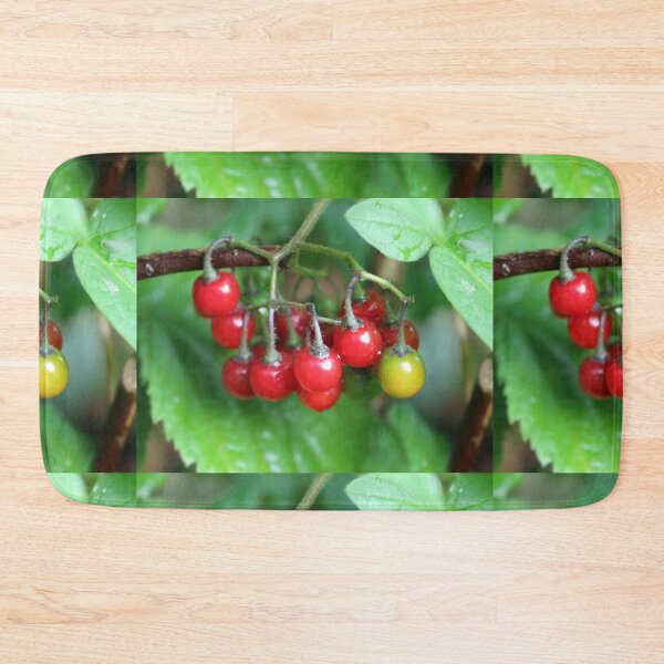 Item preview, Bittersweet nightshade berries designed and sold by pinkal.