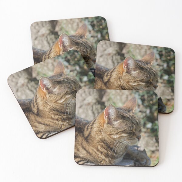 Item preview, Cat Sleeping Outdoors designed and sold by thelemmingface.