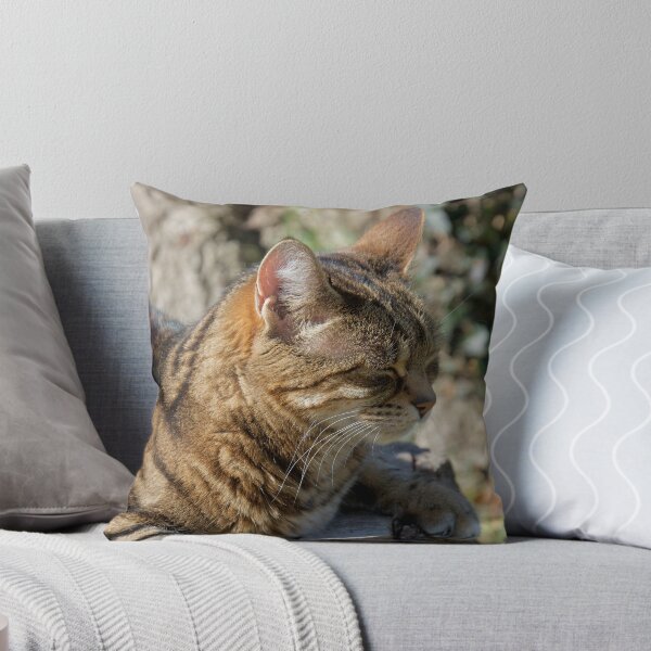 Item preview, Cat Sleeping Outdoors designed and sold by thelemmingface.
