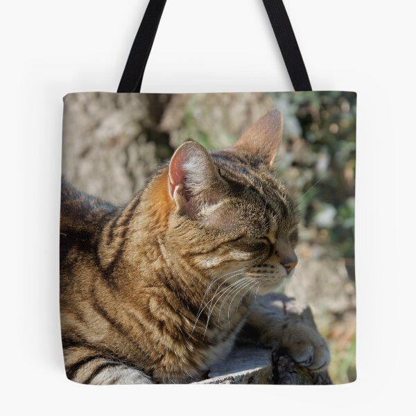 Item preview, Cat Sleeping Outdoors designed and sold by thelemmingface.