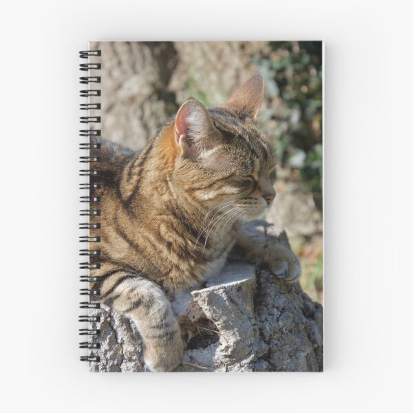 Item preview, Cat Sleeping Outdoors designed and sold by thelemmingface.