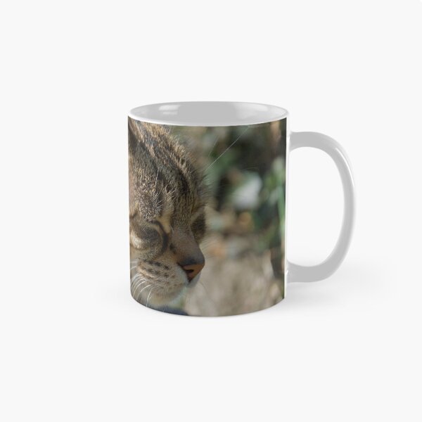 Item preview, Cat Sleeping Outdoors designed and sold by thelemmingface.