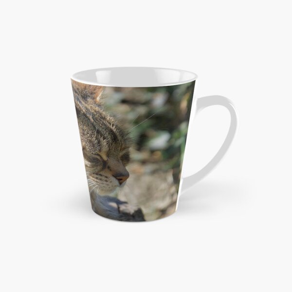Item preview, Cat Sleeping Outdoors designed and sold by thelemmingface.