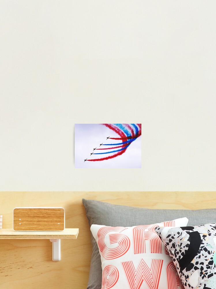 Thumbnail 2 of 3, Photographic Print, Enid In Python designed and sold by AH64D.