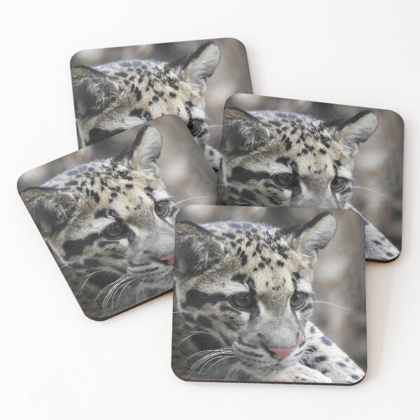 Item preview, cloud leopard designed and sold by Pepitaphotos.