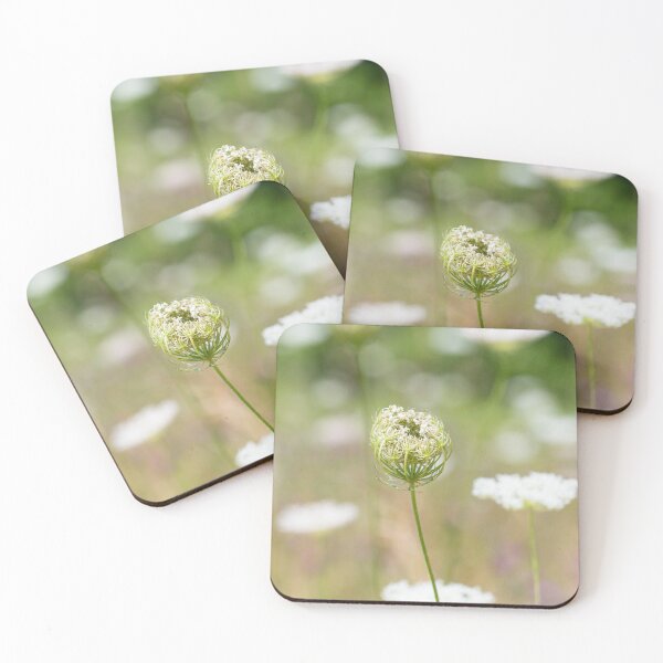 Item preview, A wild carrot flower head designed and sold by PawsomePrints.