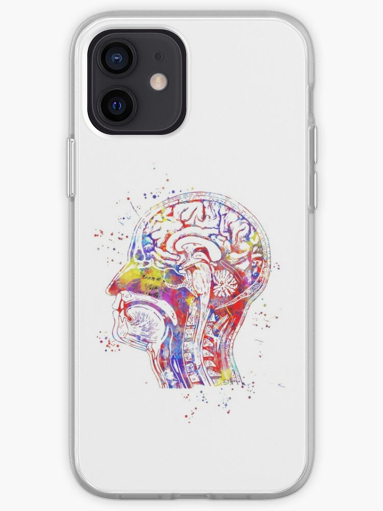 Head Anatomy Human Head Brain Anatomy Watercolor Brain Iphone Case Cover By Rosaliartbook Redbubble