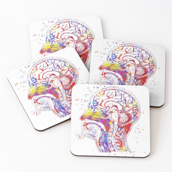 Item preview, Head anatomy, human head,brain anatomy, watercolor brain designed and sold by Rosaliartbook.