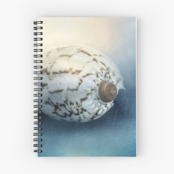 Item preview, Exotic Sea Shell designed and sold by Elisabeth Lucas.