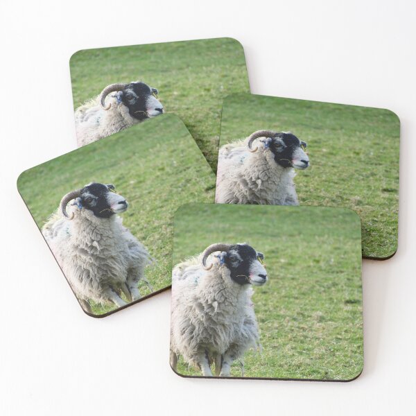 Item preview, Black Faced Sheep In A Field designed and sold by thelemmingface.