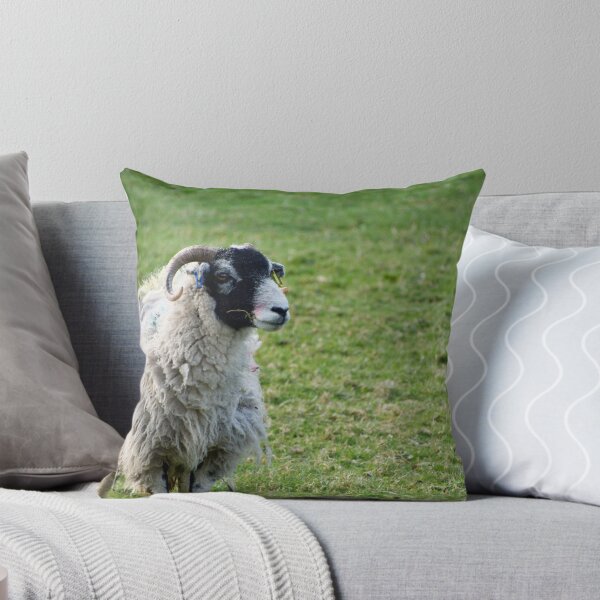 Item preview, Black Faced Sheep In A Field designed and sold by thelemmingface.