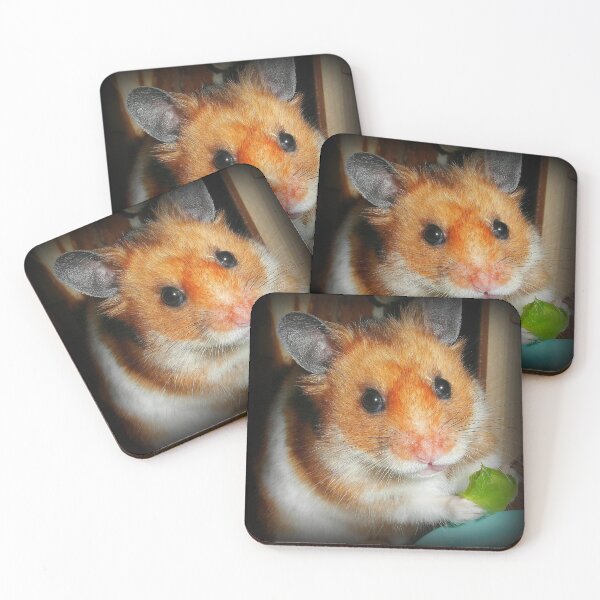 Item preview, Hamster Barney designed and sold by SkatingGirl.
