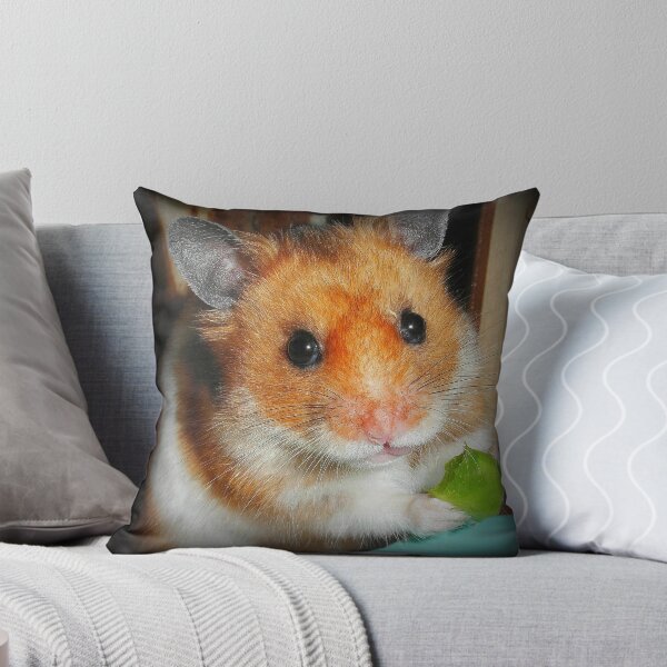 Item preview, Hamster Barney designed and sold by SkatingGirl.