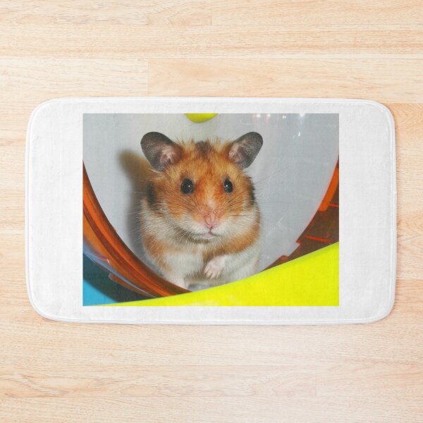 Aperçu de l'œuvre Hamster syrien syrien créée et vendue par SkatingGirl.