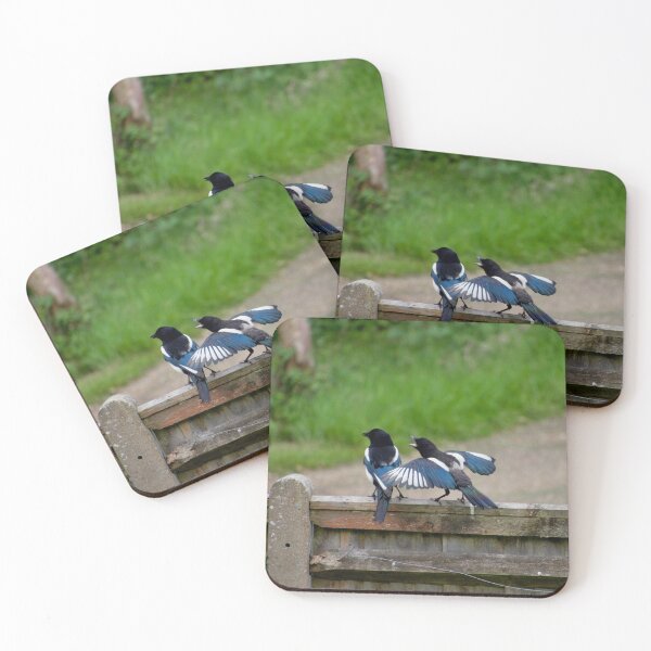 Item preview, Young Magpie Squawking At Parent designed and sold by thelemmingface.