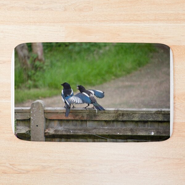 Item preview, Young Magpie Squawking At Parent designed and sold by thelemmingface.