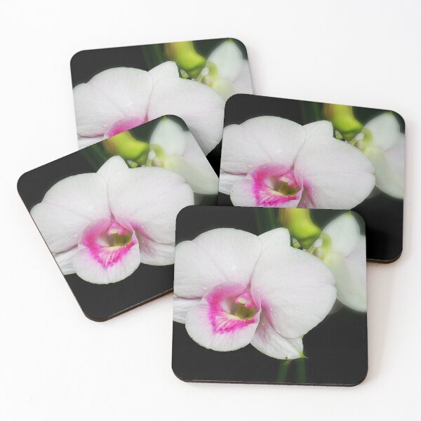 Item preview, White Orchid designed and sold by SkatingGirl.