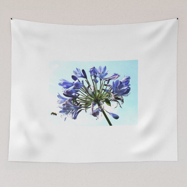 Item preview, Approach designed and sold by SkatingGirl.