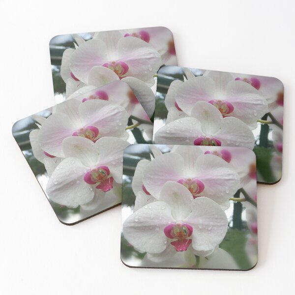 Item preview, White & Pink Orchids designed and sold by SkatingGirl.