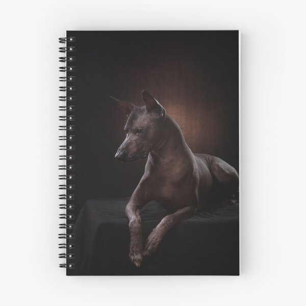 Item preview, Xoloitzcuintle  designed and sold by Xolo-Rescue.