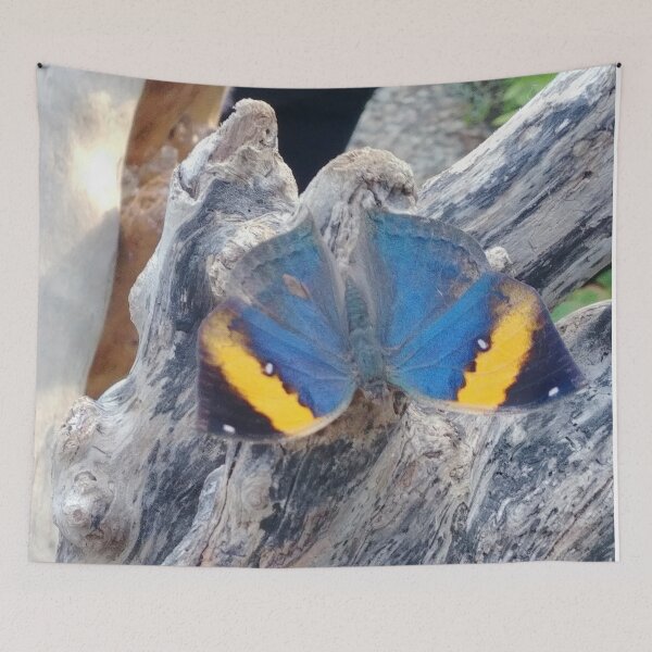 Item preview, butterfly designed and sold by AidaArt.