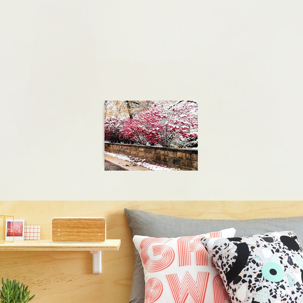 Boundary in the Snow Photographic Print