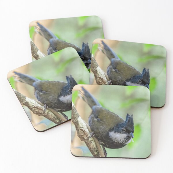 Item preview, Eastern Whipbird I designed and sold by KarenWillshaw.