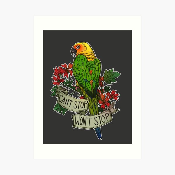 Can't Stop; Won't Stop (jenday conure) Art Print